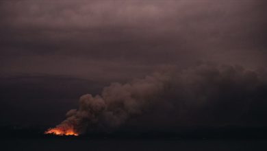 Avustralya'dan çıkan dumanlar Brezilya'ya ulaştı 8 avustralya yangini