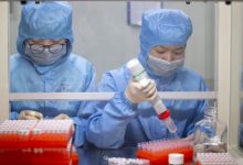 koronavirusu 8817391