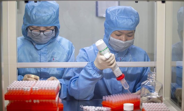 koronavirusu 8817391