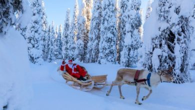 Lapland rekor kar yağışı ile muhteşem görüntüler sunuyor 11 lapland kar yagisi