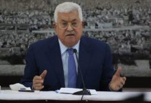 mahmut abbas 12094711