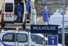 mulhouse virus