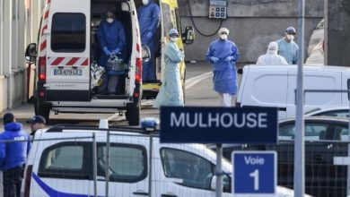 mulhouse virus