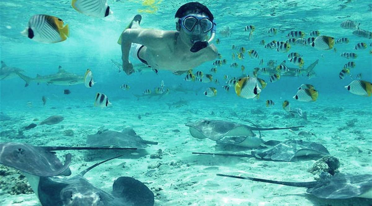 snorkelle dalis bora bora