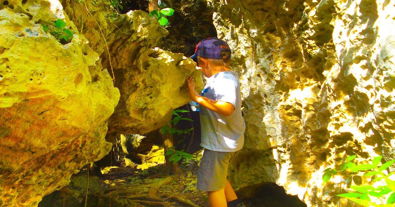 Küba'nın turizm cenneti Varadero'da gezilecek yerler 6 Varadero Ekolojik Parkı