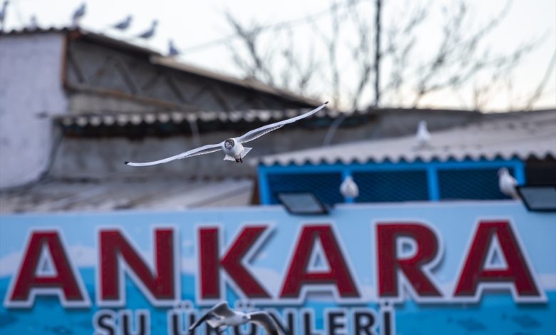 20200406 2 41748321 53701156 Web