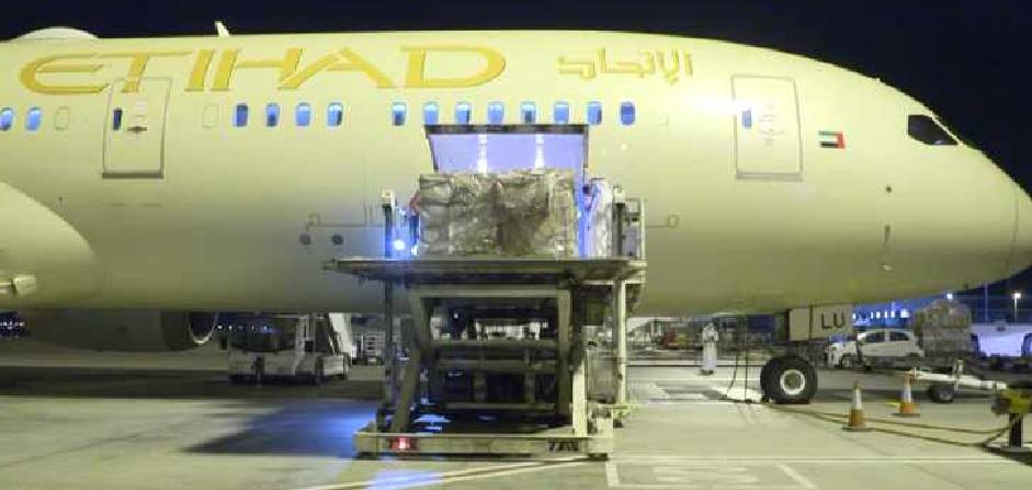 Arap ülkesinden İtalya'ya 10 ton tıbbi yardım 1 birlesik arap emirlikleri italya yardim