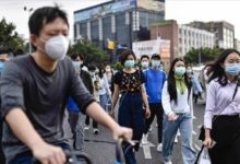 cin koronavirus 2358233