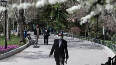 iran coronavirus parks