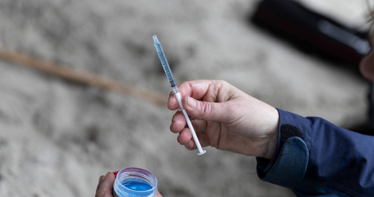 Ivermectin çare olabilir mi? Koronavirüsü 48 saatte yok etti 1 ivermektin koronavirus