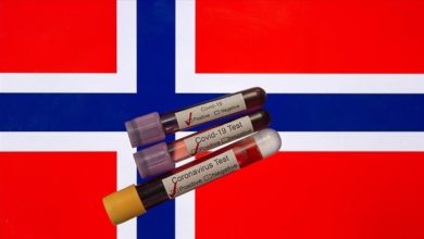 korona norvec