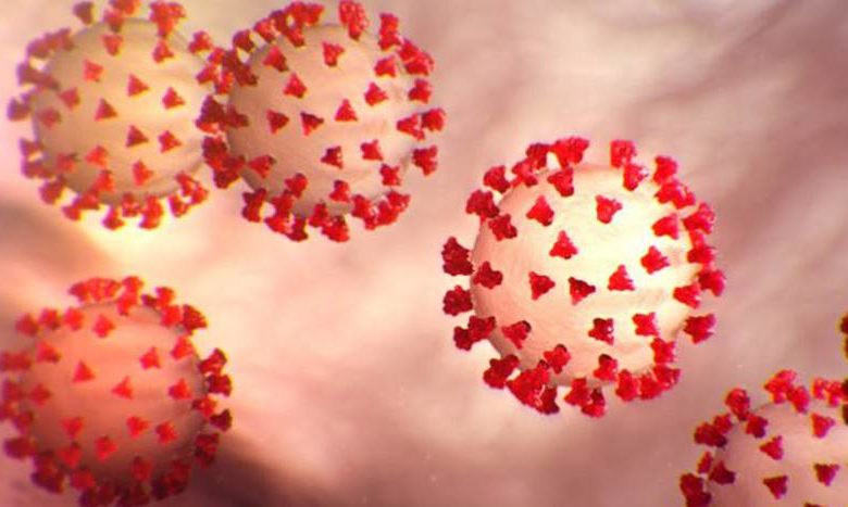 Diğer koronavirüs türleri bağışıklık sağlıyor mu? 11 koronavirus melodisi