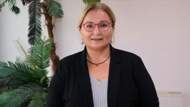 pinar okyay 19547