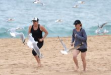 sydney plajlari yeniden acildi