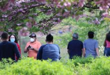 abdde eyaletlerin acilmasi halinde vefatlar temmuza dek 350 bini bulabilir JVnFJs5B