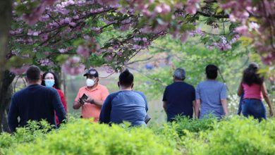 abdde eyaletlerin acilmasi halinde vefatlar temmuza dek 350 bini bulabilir JVnFJs5B