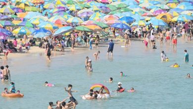 hong kong plajlar