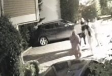 Dilan ve Engin Polat çiftinin villalarında komşusuyla yaşadığı park kavgasının görüntüleri ortaya çıktı.