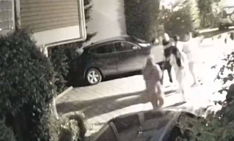 Dilan ve Engin Polat çiftinin villalarında komşusuyla yaşadığı park kavgasının görüntüleri ortaya çıktı.