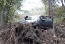 Kastamonu’da bin araç ormanlık alanda uçuruma düştü. 100 metreden yuvarlanan araçtaki 3 kişi yaralandı.