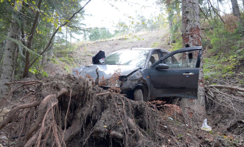 Kastamonu’da bin araç ormanlık alanda uçuruma düştü. 100 metreden yuvarlanan araçtaki 3 kişi yaralandı.