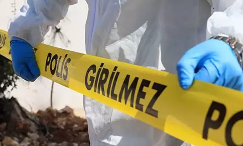 İpek Akgül Cinayeti