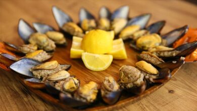 Midye yerken iki kere düşünün! Mikroplastik uyarısı yapıldı 1 İstanbul Boğazı’ndan alınan 30 farklı midye numunesinin yüzde 73’ünde mikroplastiğe rastlandı.