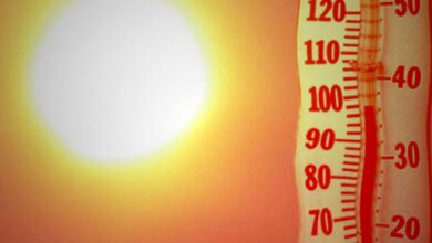 Meteoroloji’den uyarı geldi! Bu hafta Türkiye kavrulacak 13 Meteoroloji Genel Müdürlüğü tarafından yapılan açıklamada sıcaklıkların ülke genelinde artacağı duyuruldu.