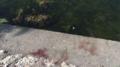 Avcılar'da feci cinayet! 11 avcilarda feci cinayet