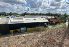 IETT otobüsü sürücüsünün kontrolünü kaybetmesi üzerine yağmur suyu kanalına düştü.