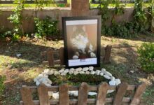 Senelerdir CHP’nin maskotu olarak bilinen kedi 'Şero', yaşa bağlı rahatsızlıkları sonucu öldü.