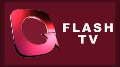 Flashgate kurşunu 7 Garanti Leasing Genel Müdür Yardımcısı Tamer Mert'in kurşunlanması Flash TV baskınının bir numaralı planlayıcısı olan Tamer Mert'in ağabeyi Şafak Mert'e gözdağı vermek için gerçekleştirilmiş.