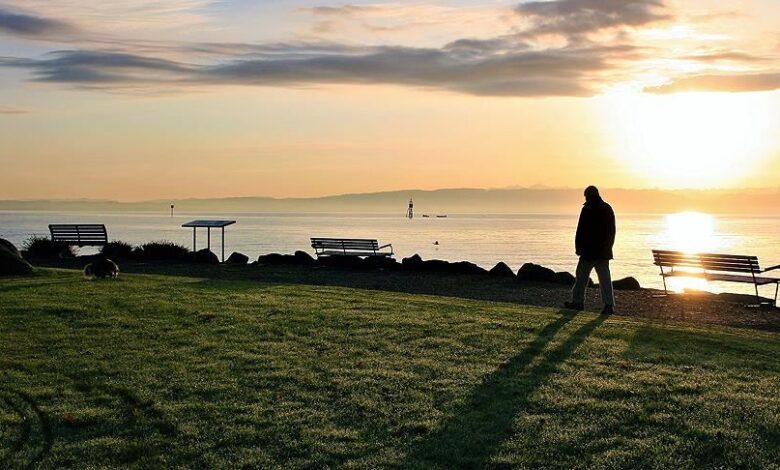 TDK ve Ankara Üniversitesi işbirliğiyle yapılan oylamada, "kalabalık yalnızlık" 1 milyon kişinin katılımıyla 2024 yılının kelimesi oldu.