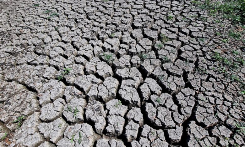 Bulgaristan'da kuraklık alarmı 2 Bulgaristan’da önümüzdeki günlerde etkili olması beklenen sıcak hava dalgası, hem halk sağlığını hem de tarım faaliyetlerini tehdit ediyor.