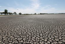 , Türkiye genelinde yağışlar uzun yıllar ortalamasının yüzde 26, geçen yılın aynı döneminin ise yüzde 29 altında kaldı.