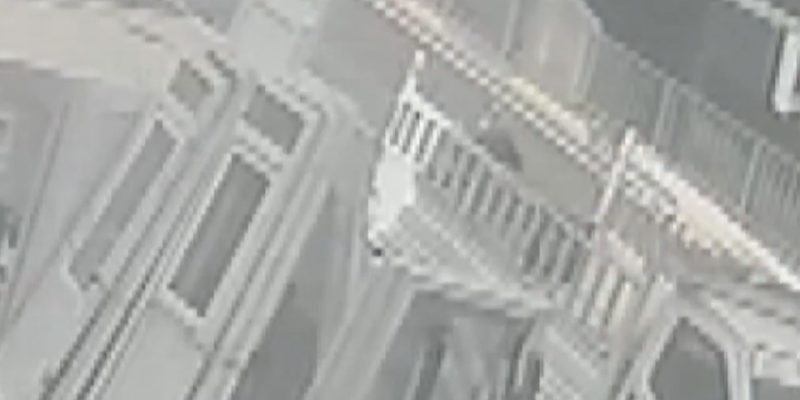 Trabzon’da feci olay: Köpekten kaçarken otobüs çarptı 2 Trabzon’da korkunç olay