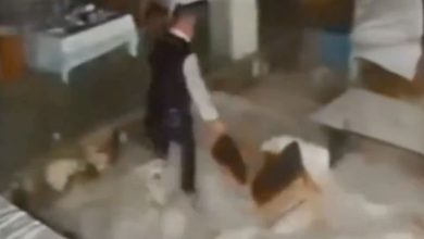 Antalya’da dev dalgalar restorana girdi 9 deniz