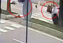 fed07cb3 7nvxcbq1el58l4v0bl71ru