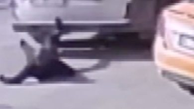 Adana’da yol ortasına duran adama otomobil çaptı 9 kazz