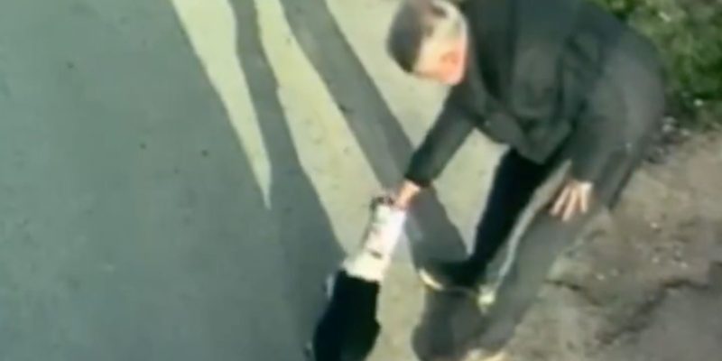 Malatya’da başı sıkışan kedinin imdadına şöför yetişti