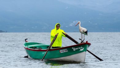 Bursa’da baharın simgesi haline gelen Yaren leylek ile Adem amcanın buluşması bu yıl da gerçekleşti.