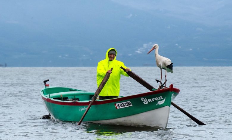 Bursa’da baharın simgesi haline gelen Yaren leylek ile Adem amcanın buluşması bu yıl da gerçekleşti.