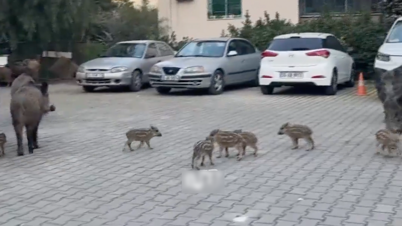 İzmir'de ilginç manzara