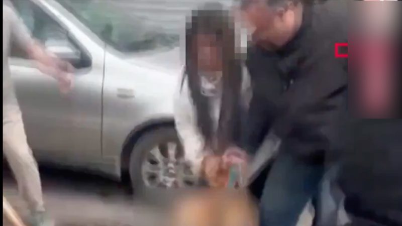 Tekirdağ'da pitbull vahşeti