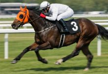 Adana Yeşiloba Hipodromu’nda yarışlara katılan Smart Latch isimli İngiliz atının kesilerek etinin aşevinde dağıtıldığı iddiası gündem oldu.