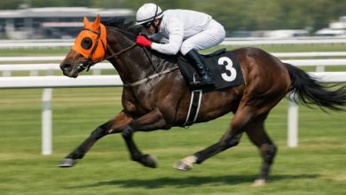 Adana Yeşiloba Hipodromu’nda yarışlara katılan Smart Latch isimli İngiliz atının kesilerek etinin aşevinde dağıtıldığı iddiası gündem oldu.