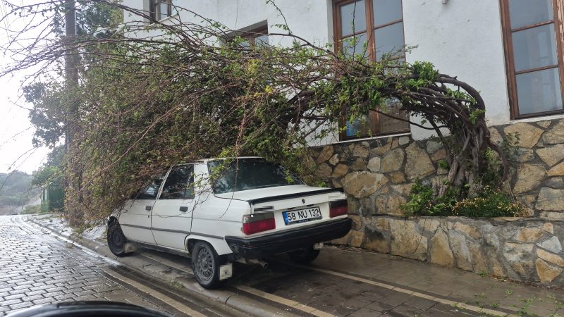 Muğla'da fırtına geçit vermedi