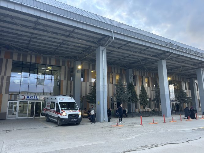 Van'da sokak köpekleri çocuğu öldürdü