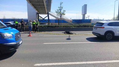 Ankara’nın Yenimahalle ilçesinde yaya üst geçidine afiş asmaya çalışan Vedat Gürbüz, dengesini kaybederek bulvara düştü.