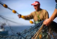 Denizlerde yeni av sezonuna ara veriliyor. Tarım ve Orman Bakanlığı yasağın 15 Nisan'da başlayacağını duyurdu.